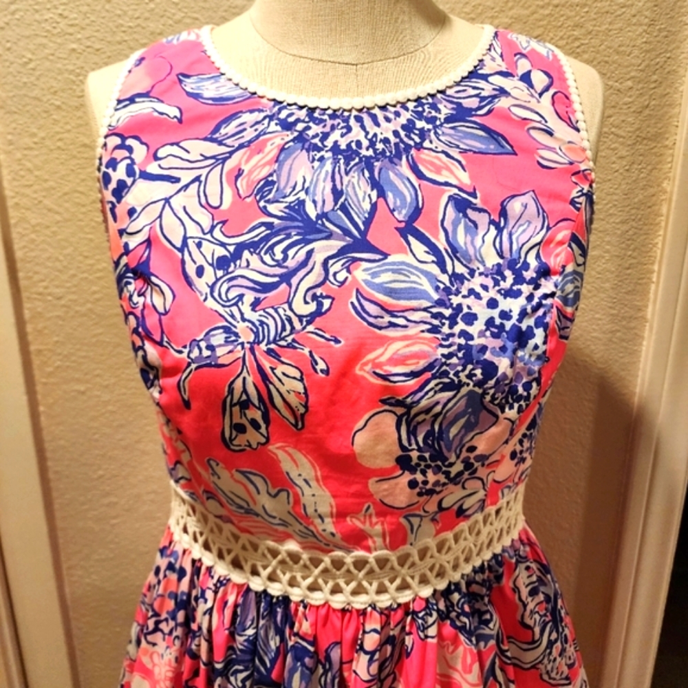 Lilly Pulitzer Fit and Flare Dress - Picture 4 of 6